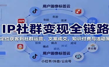 IP社群变现全链路,从定位获客到社群运营、文案成交,知识付费与活动策划
