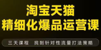 猫课子幽·淘宝天猫精细化爆品运营【音频+字幕+文档】(9月12-14杭州线下课)