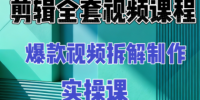 冰糖老师·AI视频制作实操课程(更新11月)