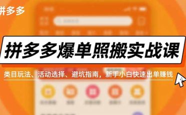拼多多爆单照搬实战课,类目玩法、活动选择、避坑指南,新手小白快速出单赚钱