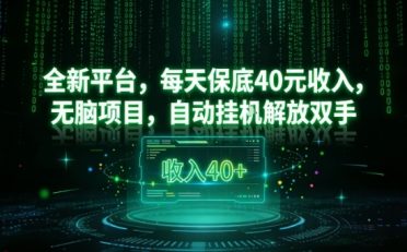 全新平台,每天保底40米收入,无脑项目,自动挂G解放双手【揭秘】