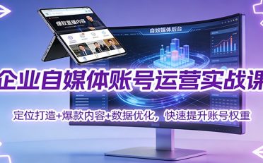 企业自媒体账号运营实战课:定位打造+ 爆款内容+数据优化,快速提升账号权重