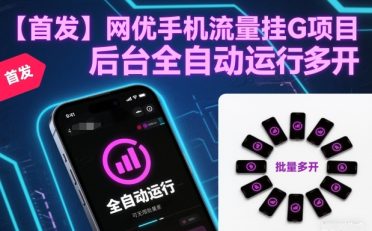 【首发】网优手机流量挂G项目，后台全自动运行，可无限批量多开【揭秘】