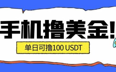 最新手机撸美金项目，单日产值100U+，2026年最新的风口项目