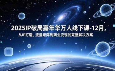 2025IP破局嘉年华万人线下课-12月，从IP打造、流量矩阵到商业变现的完整解决方案