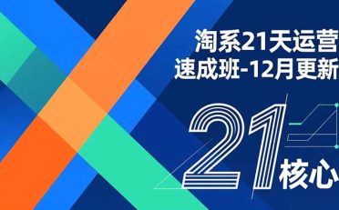 淘系21天运营速成班-12月更新，能够快速复制落地，系统掌握淘系盈利运营的核心技能