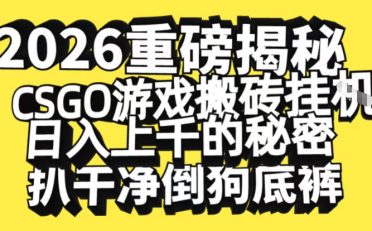 2026开年重磅解密，CSGO游戏搬砖挂G日入1k+的秘密，把倒狗的底裤扒干【揭秘】