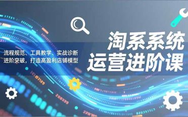 淘系系统运营进阶课2.0，流程规范、工具教学、实战诊断，进阶突破，打造高盈利店铺模型