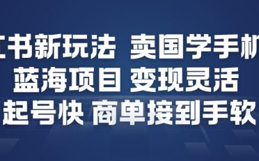 小红书新玩法，卖国学手机贴，蓝海项目，变现灵活，起号快，商单接到手软