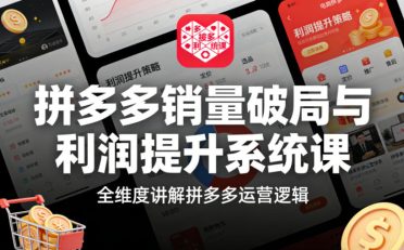 拼多多销量破局与利润提升系统课，全维度讲解拼多多运营逻辑