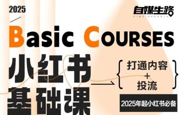 自媒生路小红书基础课，打通内容+投流，2025年起小红书必备