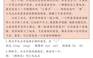 25秋二上语文期末课外阅读理解专项训练23篇(含答案33页)