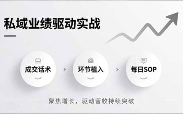 私域业绩驱动实战，成交话术、环节植入、每日SOP，聚焦增长，驱动营收持续突破