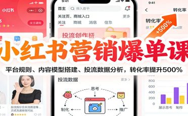 小红书营销爆单课：平台规则、内容模型搭建、投流数据分析，转化率提升500%