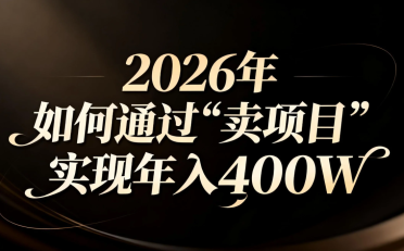 2026年如何通过“卖项目”实现年入百万