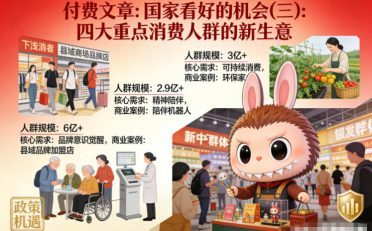 付费文章:国家看好的机会(三):四大重点消 费人群的新生意
