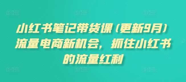 小红书笔记带货课(更新25年4月)流量电商新机会，抓住小红书的流量红利