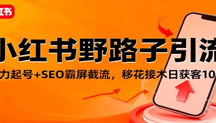 小红书野路子引流，暴力起号+SEO霸屏截流，移花接木日获客100+