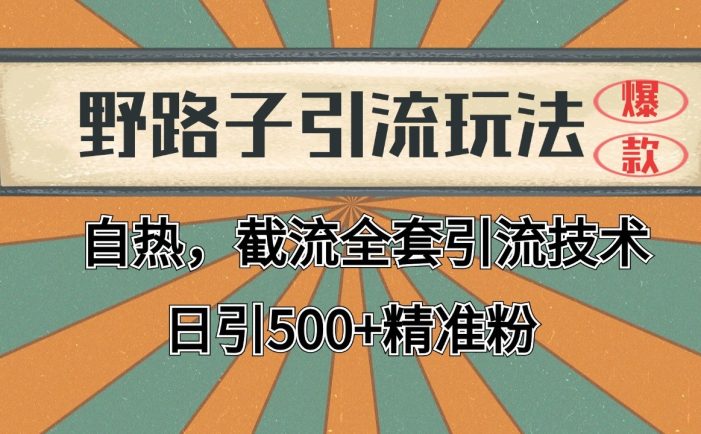 2024首发野路子引流玩法截流自热全平台打法，全自动引流【日引2000+精准客户】
