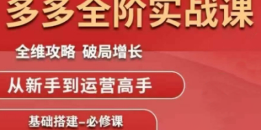 大炮·拼多多全阶实战课程(更新2026)