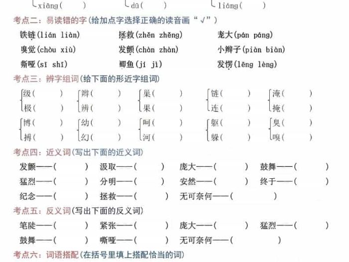 四年级上语文5-8单元高频考点练习