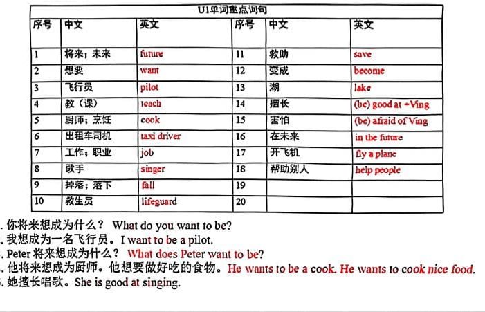五年级上英语各单元单词和句子必背默写《沪教牛津版》