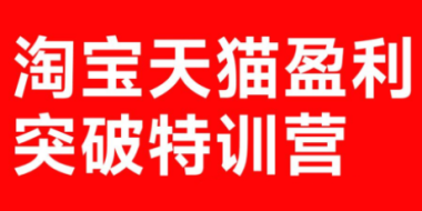 玺承·淘宝天猫盈利突破特训营(25年12月线下课)【音频+字幕】