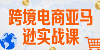丝丝老师·跨境电商亚马逊实战课(更新2月)
