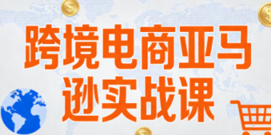 丝丝老师·跨境电商亚马逊实战课(更新2月)