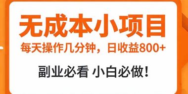 无成本小项目 每天操作几分钟，真实日收益800+ 副业必看 小白必做！