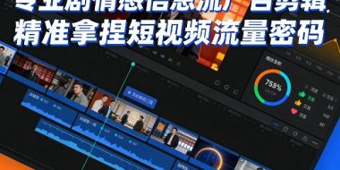 专业剧情感信息流广告剪辑，精准拿捏短视频流量密码