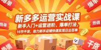 拼多多运营实战课，新手入门+运营进阶、爆单打法，16节干货，助力新手店铺快速实现日出百单