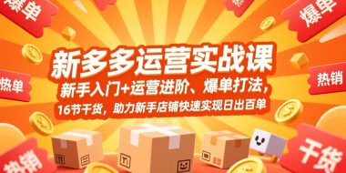 拼多多运营实战课，新手入门+运营进阶、爆单打法，16节干货，助力新手店铺快速实现日出百单