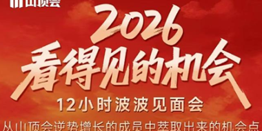 波波·2026看得见的机会12小时波波见面会(东莞线下课2月1日)