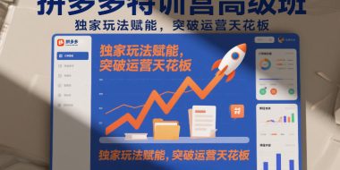 拼多多特训营高阶班，独家玩法赋能，突破运营天花板(更新26年2月)