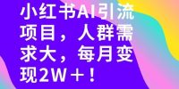她通过这个AI项目每月做到2W＋的收入，最新小红书AI项目，人群需求大！