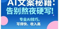 AI文案秘籍：告别熬夜硬写！专业AI技巧，写得快、收入高