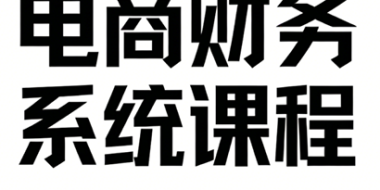 郑老师·电商财务系统课程