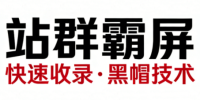 SEO野路子实战全集：快速收录、站群霸屏、黑帽技术(更新)