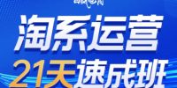 白凤电商·淘系运营21天速成班(更新2月)