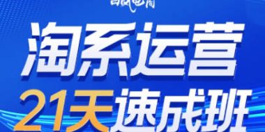 白凤电商·淘系运营21天速成班(更新2月)