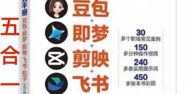 AI提效手册-豆包即梦剪映飞书扣子，5合1精讲实操指南，30+常见职场案例拿来即用