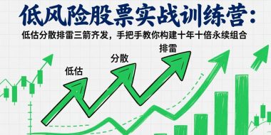 低风险股票实战训练营：低估分散排雷三箭齐发，手把手教你构建十年十倍永续组合