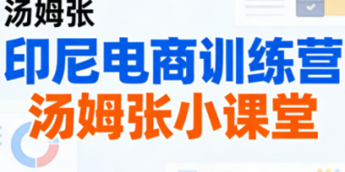 Jack老师·印尼电商训练营+汤姆张小课堂