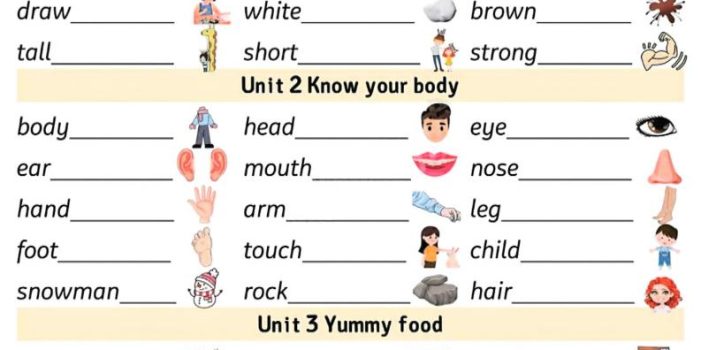 三年级下英语三大专项汇总《外研版（三起）》
