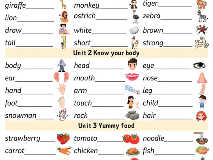 三年级下英语三大专项汇总《外研版（三起）》