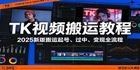 TK视频搬运教程：2025新版搬运起号、过中、变现全流程