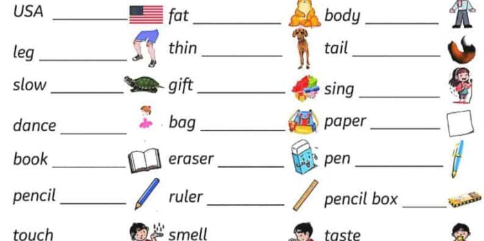 三年级下英语三大专项汇总《人教PEP版》