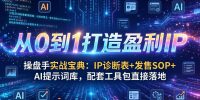 操盘手实战宝典：IP诊断表+发售SOP+AI提示词库，配套工具包直接落地，从0到1打造盈利IP
