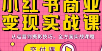 饭饭老师·小红书商业变现实战课